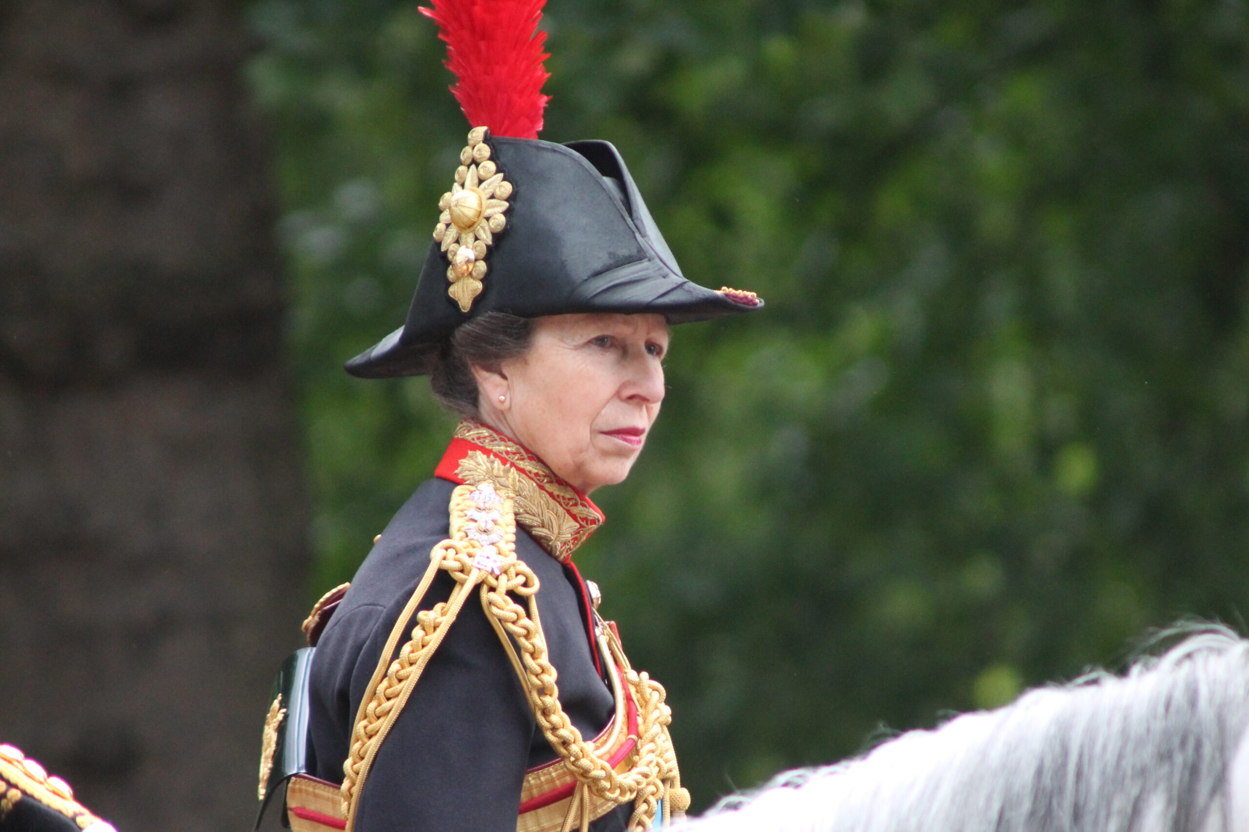 Princess Anne The Princess Royal during an official engagement